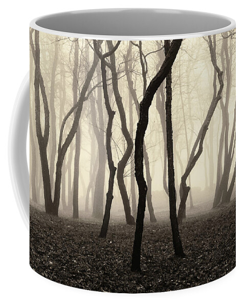 Trees Coffee Mug featuring the photograph Trees and Fog No. 1 by David Gordon
