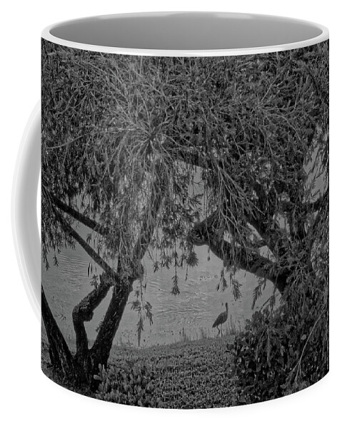 Black And White Coffee Mug featuring the photograph Trees and Ibis by Alan Goldberg