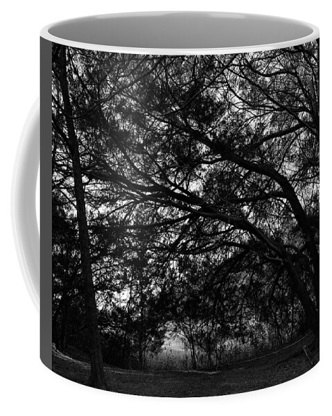 Georgia Coffee Mug featuring the photograph Trees, Hammock, Marshes of Glynn by John Simmons