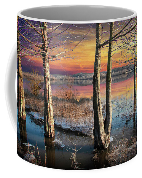 River Coffee Mug featuring the photograph Trees in the Early Spring Flooding on the Neosho River Bank in O by Randall Nyhof