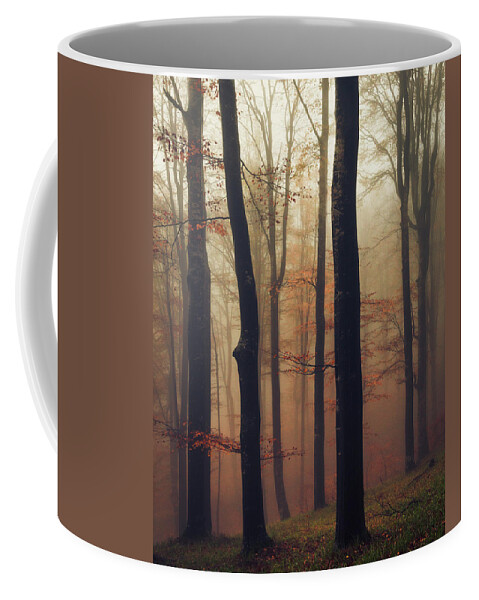 Balkan Mountains Coffee Mug featuring the photograph Trees in the Mist by Evgeni Dinev