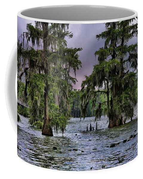Louisiana Coffee Mug featuring the photograph Trees Swamp Spanish Moss Lake Martin Louisiana Color by Chuck Kuhn