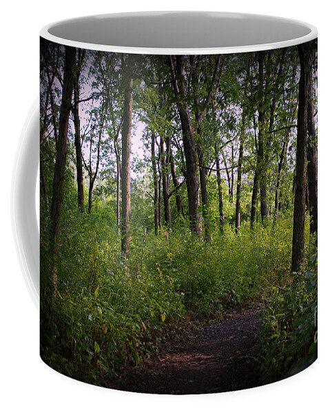 Nature Coffee Mug featuring the photograph Trees Through the Forest - Natural by Frank J Casella