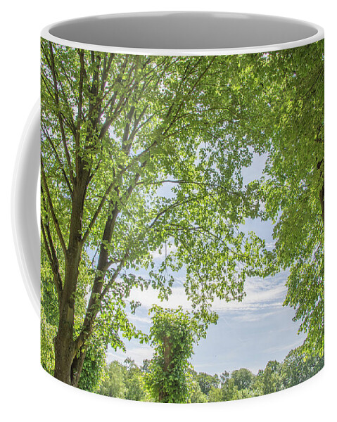 Trent Park Coffee Mug featuring the photograph Trent Park Trees Summer 1 by Edmund Peston