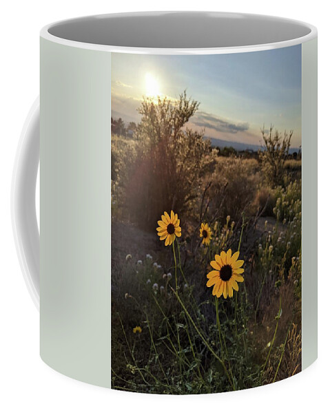 Flower Coffee Mug featuring the photograph Tres Mirasol by Claudia Goodell