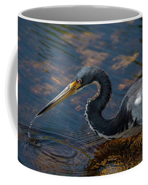 Bird Coffee Mug featuring the photograph Tricolored Heron by Carolyn Hutchins