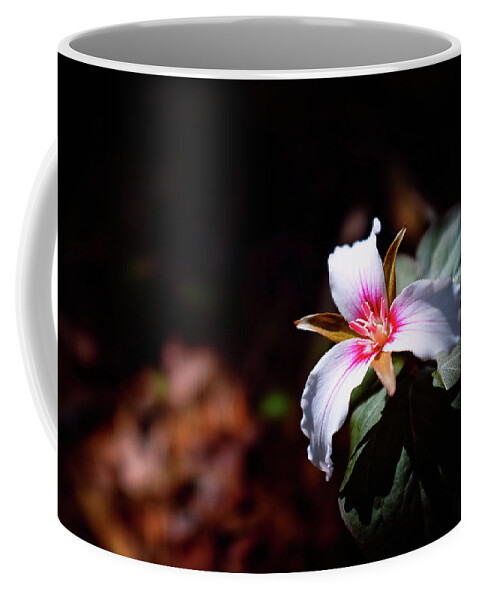 New Hampshire Coffee Mug featuring the photograph Trillium Light by Jeff Sinon