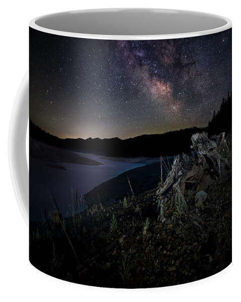 Lake Coffee Mug featuring the photograph Trinity Stump and Stars by Mike Lee