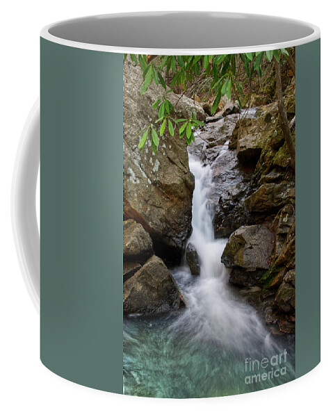 Triple Falls Coffee Mug featuring the photograph Triple Falls On Bruce Creek 21 by Phil Perkins