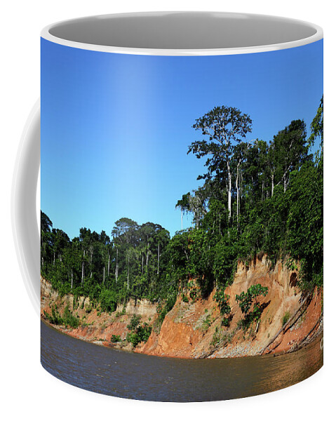 Amazon Coffee Mug featuring the photograph Tropical rainforest Madidi National Park Bolivia by James Brunker