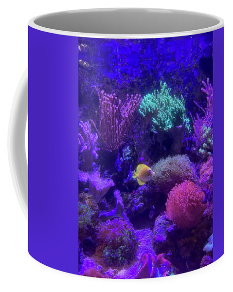 Tropical Coffee Mug featuring the photograph Tropical Tank by Barbara Von Pagel