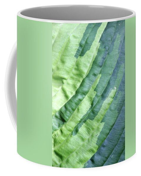 Green Coffee Mug featuring the photograph Tropical1692 by Carolyn Stagger Cokley