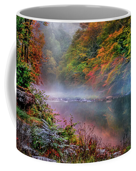 Stream Coffee Mug featuring the photograph Trout Stream in the Catskill Mountains in New York by Cordia Murphy