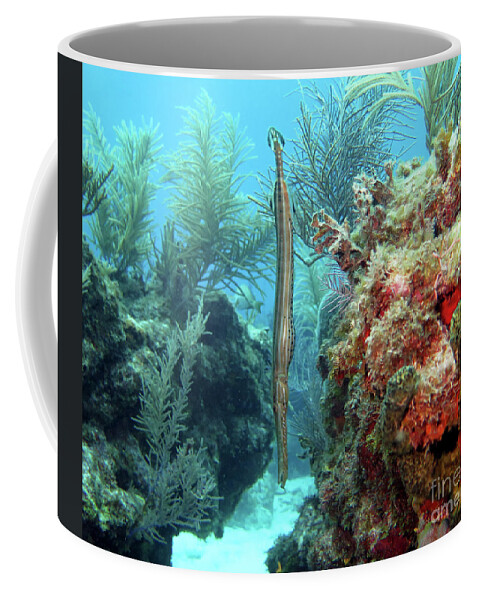 Underwater Coffee Mug featuring the photograph Trumpetfish 11 by Daryl Duda