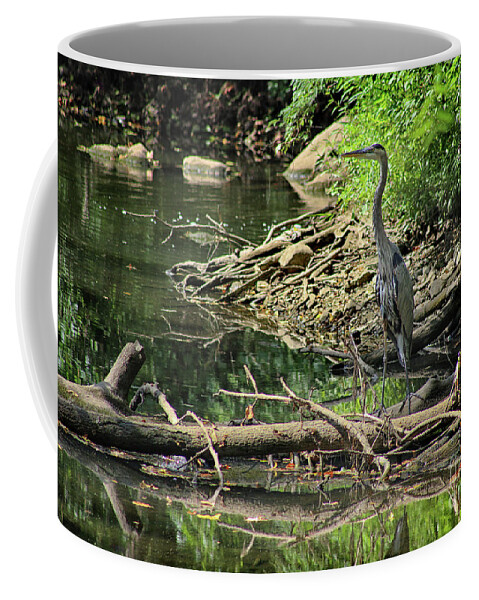 Great Blue Heron Coffee Mug featuring the photograph Trying to Blend In by Karen Adams
