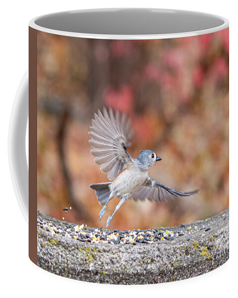  Little Gray Bird Coffee Mug featuring the photograph Tufted Titmouse in Flight by Ilene Hoffman