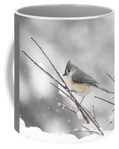 Tufted Titmouse Coffee Mug featuring the photograph Tufted Titmouse on a Winter Day by Kerri Farley