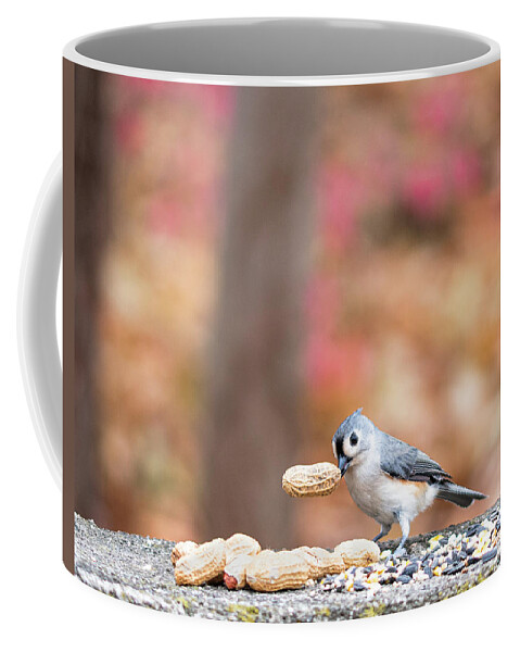 Little Gray Bird Coffee Mug featuring the photograph Tufted Titmouse with Peanut Cropped by Ilene Hoffman