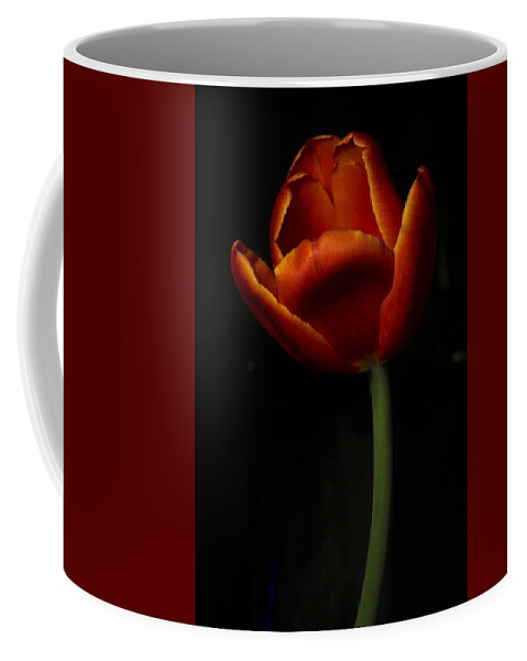 Botanical Coffee Mug featuring the photograph Tulip 8063 by Julie Powell
