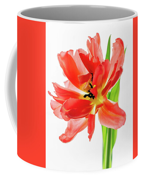 Peony Tulip Coffee Mug featuring the photograph Tulip 9451 by Pamela S Eaton-Ford