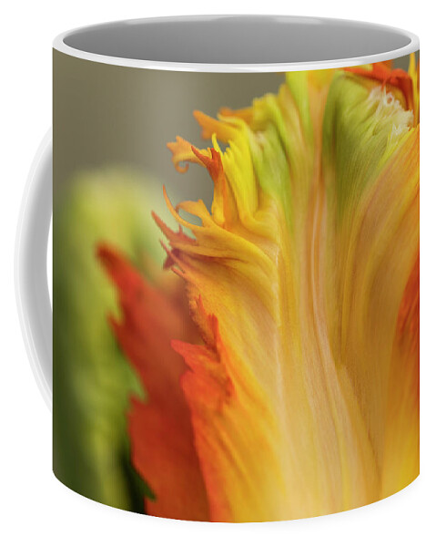 Astoria Coffee Mug featuring the photograph Tulip Petals by Robert Potts