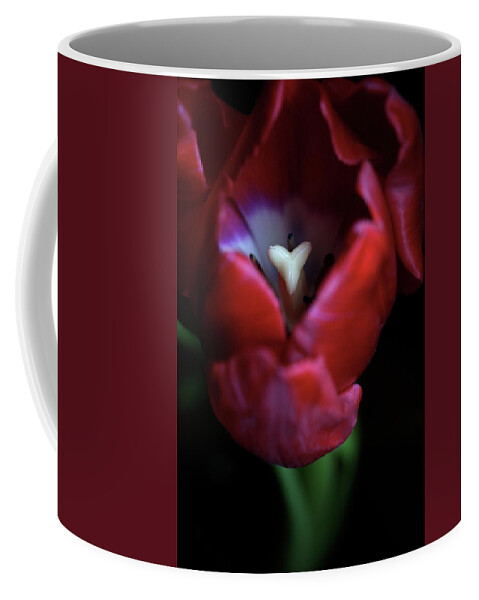 Macro Coffee Mug featuring the photograph Tulip Pink 7082 by Julie Powell