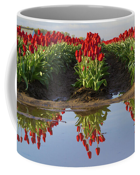 Tulips Coffee Mug featuring the photograph Tulip Reflection by Michael Rauwolf