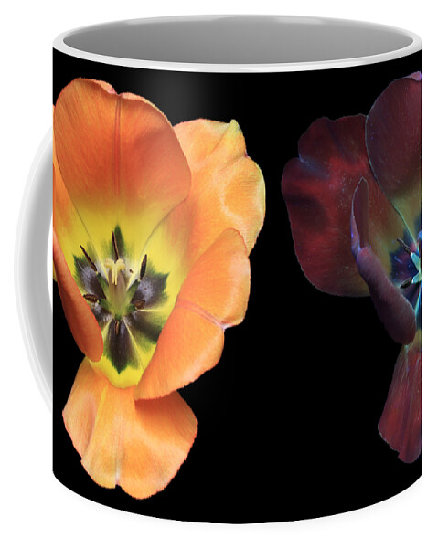 Tulip Coffee Mug featuring the photograph Tulip3 Compare by Shane Bechler