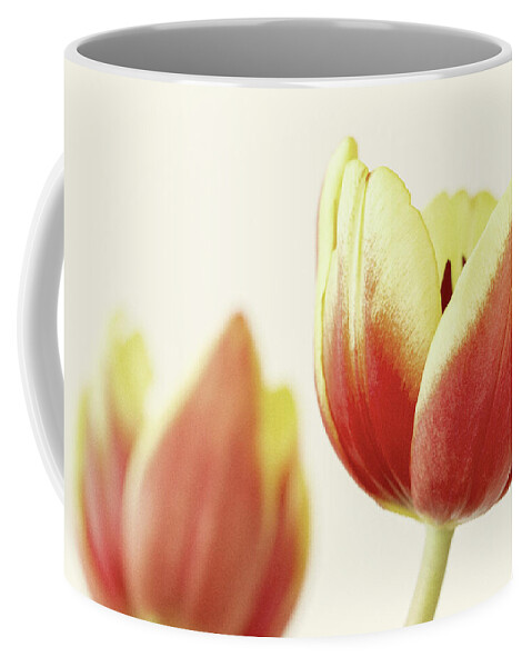 Tulip Coffee Mug featuring the photograph Tulipa by Tanya C Smith