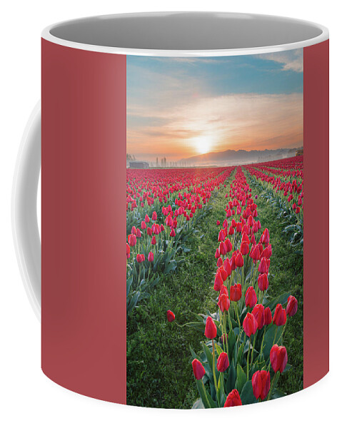 Tulips Coffee Mug featuring the photograph Tulips at Sunrise by Michael Rauwolf