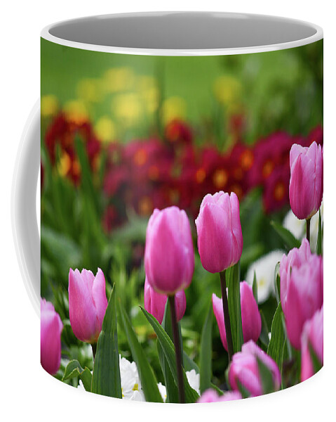 Tulips Coffee Mug featuring the photograph Tulips blooming in the spring sunshine by Andrew Lalchan