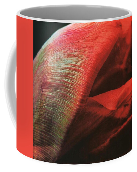 Tulips Kiss Coffee Mug featuring the photograph Tulips Kiss by Jennifer Preston