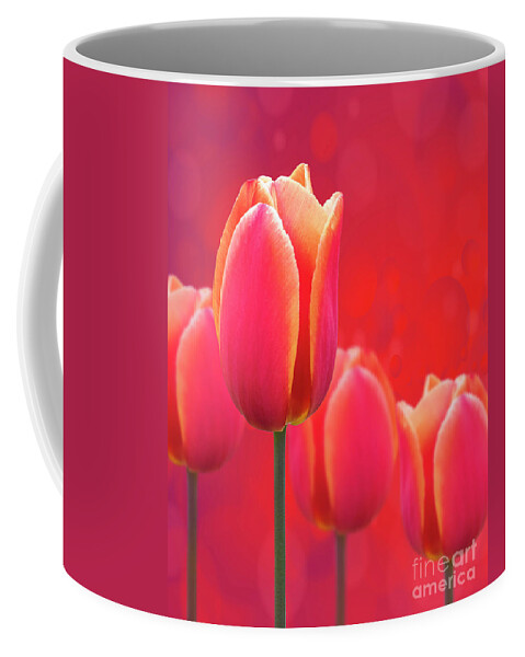 Art; Bloom; Blossom; Design; Floral; Flowers; Fresh; Nature; Orange; Petals; Red; Spring; Texture; Tulip; Tulips Coffee Mug featuring the photograph Tulips on Fire by Juli Scalzi