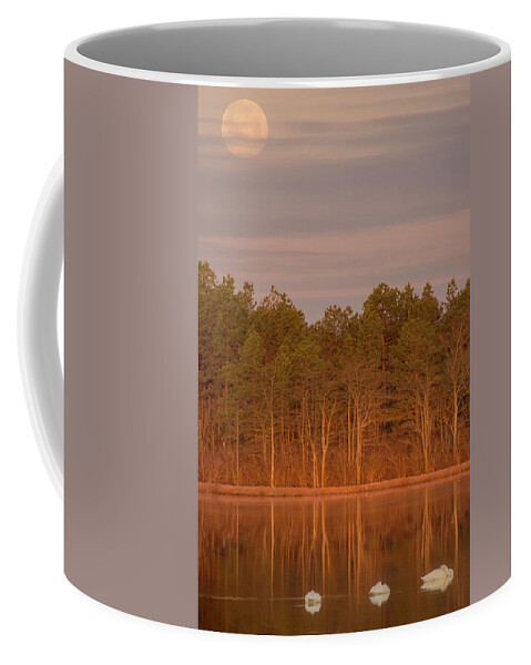 Tundra Swans Coffee Mug featuring the photograph Tundra Swans Under the Full Snow Moon by Beth Sawickie