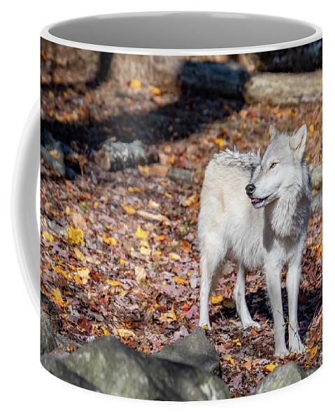 Tundra Coffee Mug featuring the photograph Tundra Wolf Smile by Rose Guinther