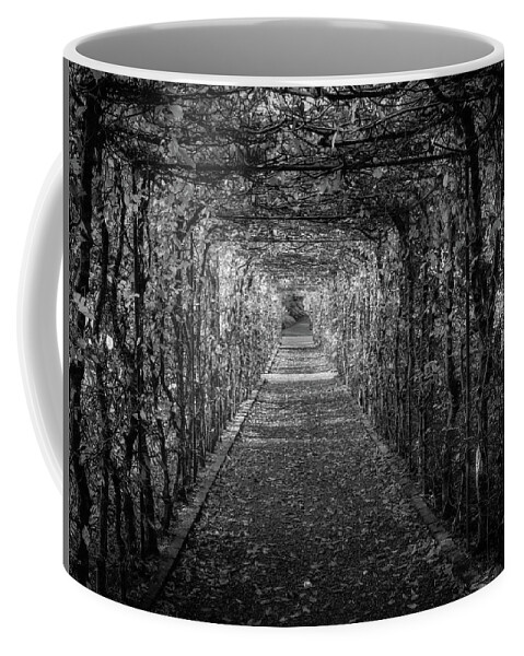 Tunnelingvinesblackandwhite Coffee Mug featuring the photograph Tunneling Vines Black and White by Vicky Edgerly