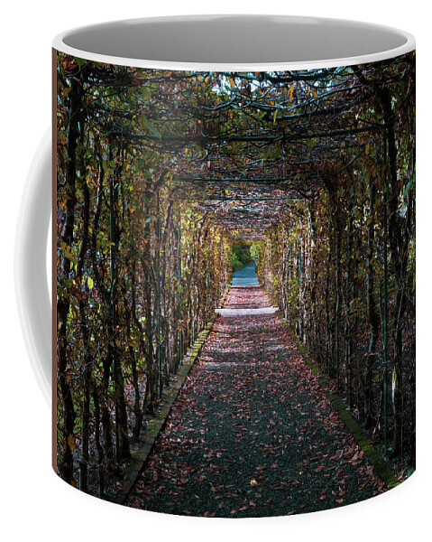 Tunnelingvines Coffee Mug featuring the photograph Tunneling Vines by Vicky Edgerly
