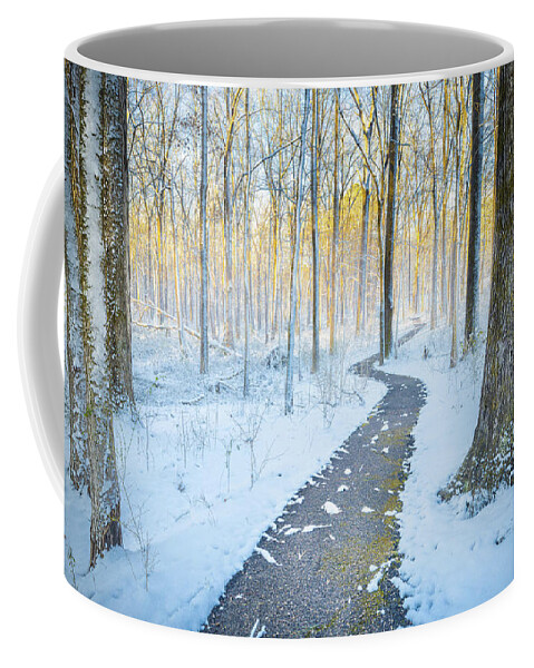 Snow Day Coffee Mug featuring the photograph Tupelo Mississippi Snow Natchez Trace Parkway Sunrise by Jordan Hill