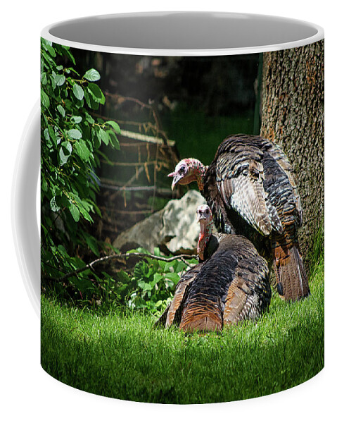 Wild Coffee Mug featuring the photograph Pair of Wild Turkeys by Steven Nelson
