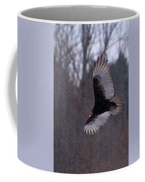 Turkey Coffee Mug featuring the photograph Turkey Vulture Flys in Snow by Flinn Hackett