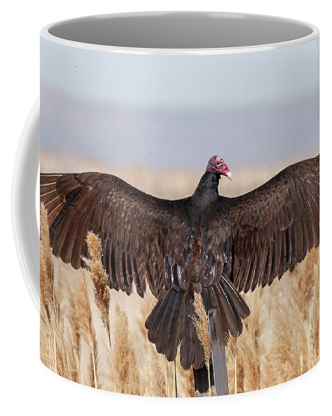 Bird Coffee Mug featuring the photograph Turkey Vulture Sunning by Dennis Hammer