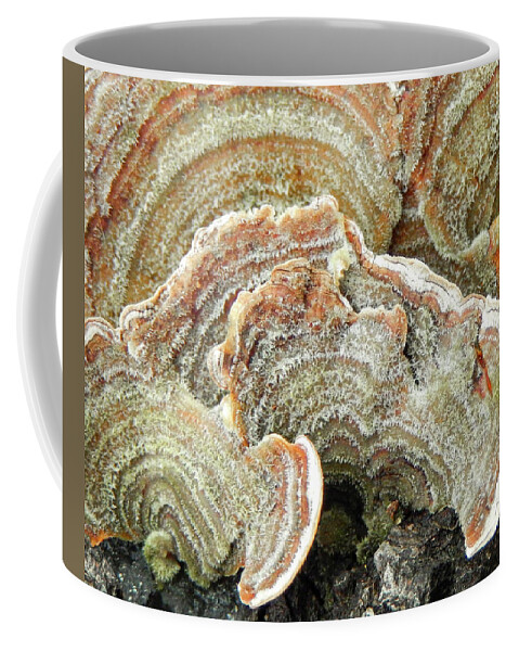 Abstract Coffee Mug featuring the photograph Turkeytail Fungus Abstract by Karen Rispin
