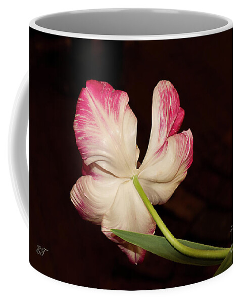 Tulip Coffee Mug featuring the photograph Turning Away by Elaine Teague