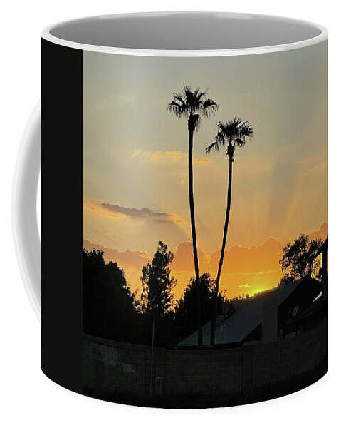 Sunset Coffee Mug featuring the photograph Twin Palm Sunset by Grey Coopre