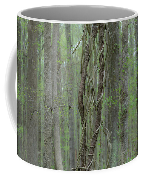 Vine Coffee Mug featuring the photograph Twisted, Tangled, Trapped by Liz Albro