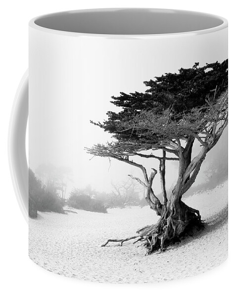 Nature Coffee Mug featuring the photograph Twisted tree at Carmel-by-the-Sea by Eyes Of CC