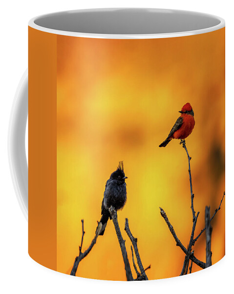 Arboretum Coffee Mug featuring the photograph Two Birds of a Feather by Rick Furmanek