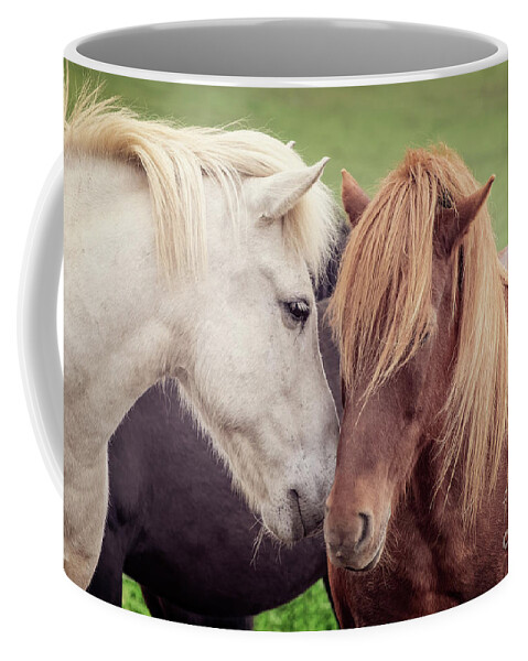 Horses Coffee Mug featuring the photograph Two icelandic horses by Delphimages Photo Creations