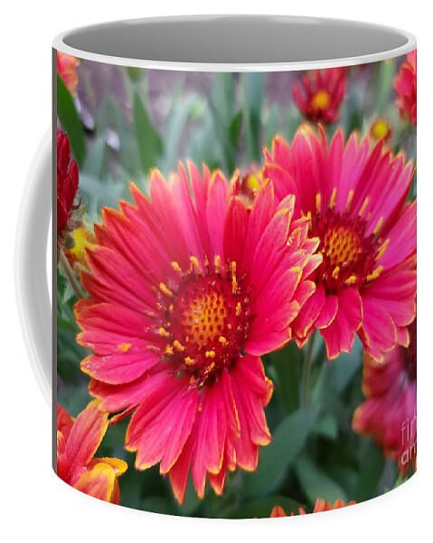 Flowers Coffee Mug featuring the photograph Two Of a Kind by Chris Naggy