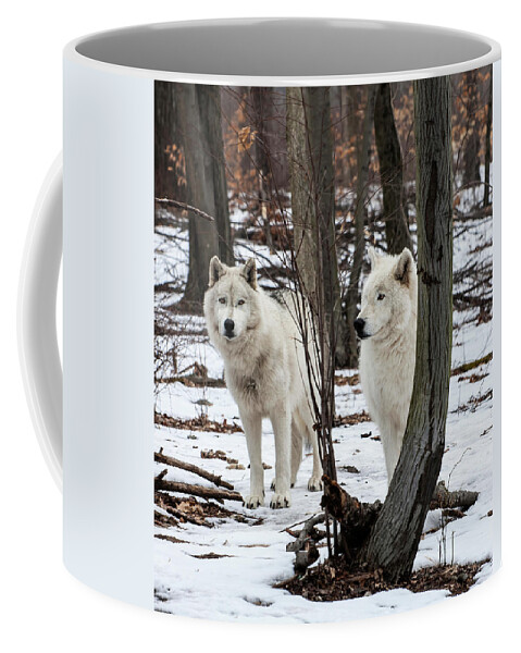 Wolf Coffee Mug featuring the photograph Two Wolves In The Woods by Gary Slawsky